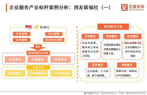 2021上半年中國企業服務專題研究報告 信息咨詢服務市場洞察與未來展望
